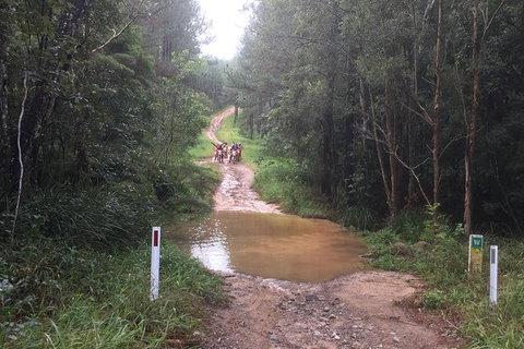 One Day Guided Dirt Bike Tour In The Magnificent Glasshouse Mountains Forests. - C Tourism 3