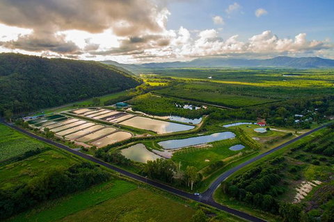 Hook A Barra Fishing Experience - C Tourism 2