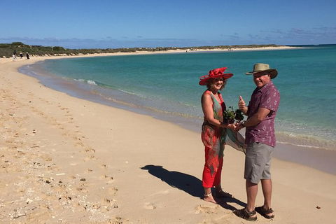 Elope In Paradise - Weddings At Mission Beach - C Tourism 6