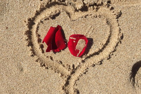 Elope In Paradise - Weddings At Mission Beach - C Tourism 3