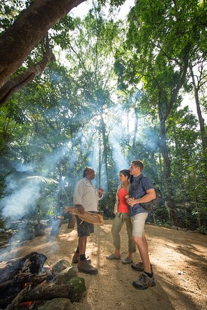 Mossman Gorge Dreamtime Tour - C Tourism 4