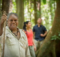 Mossman Gorge Dreamtime Tour - C Tourism