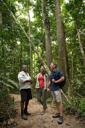 Mossman Gorge Dreamtime Tour - C Tourism 1