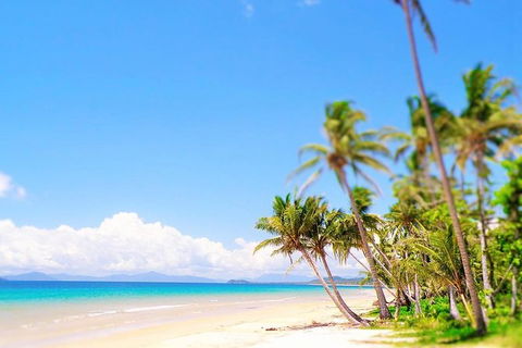 Airport Transfer - Mission Beach To Cairns Airport - C Tourism 3