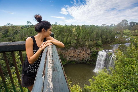 Boutique Brisbane To Cairns Australian East Coast Tour - 8 Day Small Group - C Tourism 0