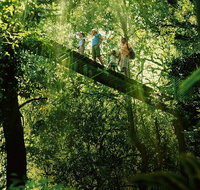 Tamborine Lamington OReillys - Rainforest  Wildlife Tour - C Tourism
