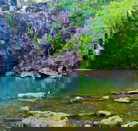 Reef Wildlife  Rainforest - Reef  Beyond Guided Holidays - C Tourism