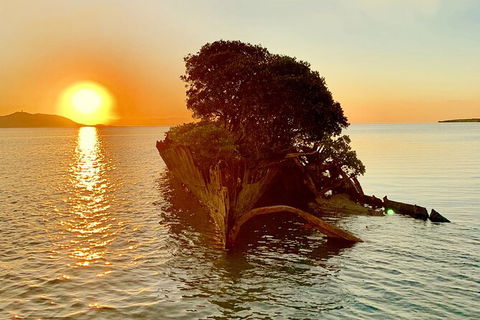 Aquascene Magnetic Island Sunset & Shipwreck Tour - C Tourism 3