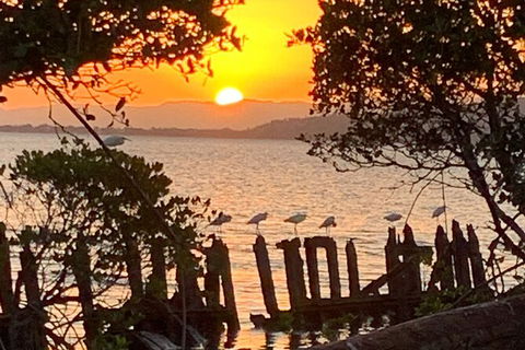 Aquascene Magnetic Island Sunset & Shipwreck Tour - C Tourism 2