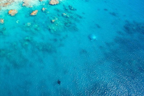 Premium Private Charter - C Tourism 5