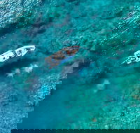 Premium Private Charter - C Tourism