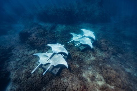 Premium Private Charter - C Tourism 8