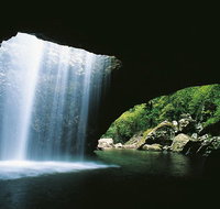 Natural Bridge Springbrook  Gold Coast Tour - C Tourism