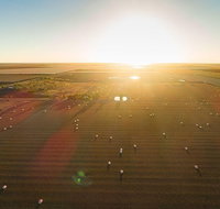 Discover Farming in Goondiwindi - C Tourism