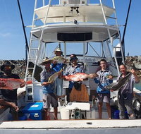 Adventure Fishing Combo Day - Fish Swim Whitehaven Hill Inlet Bush Walking - C Tourism