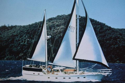 Great Barrier Reef Private Expedition Cruise (min 4 Day Max 8 Guests) - C Tourism 2