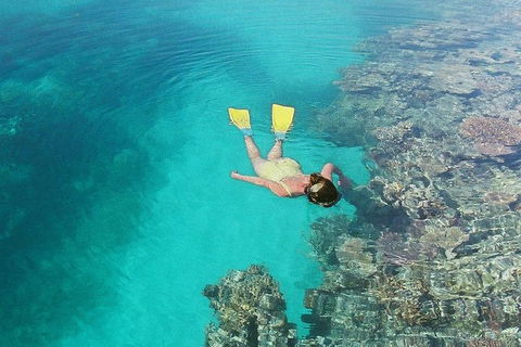 Great Barrier Reef Private Expedition Cruise (min 4 Day Max 8 Guests) - C Tourism 6