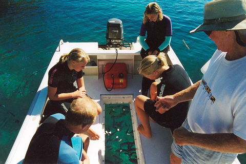 Great Barrier Reef Private Expedition Cruise (min 4 Day Max 8 Guests) - C Tourism 1