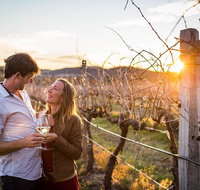 Stanthorpe Winery Experience - C Tourism