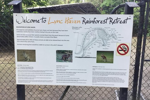 Daintree Luxury Limousine Tour - Full Day - C Tourism 2