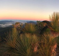 4-Day South East Queensland Scenic Rim and Spicers Peak Lodge Walking Trip from Clumber - C Tourism