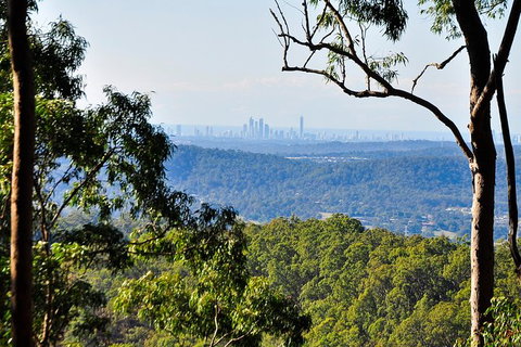 Tamborine Mountain & Gold Coast Tour - C Tourism 3