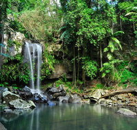 Tamborine Mountain  Gold Coast Tour - C Tourism