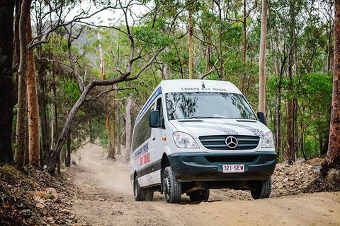 Tamborine Mountain & Gold Coast Tour - C Tourism 4