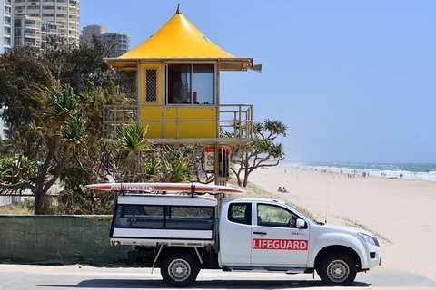 Tamborine Mountain & Gold Coast Tour - C Tourism 2