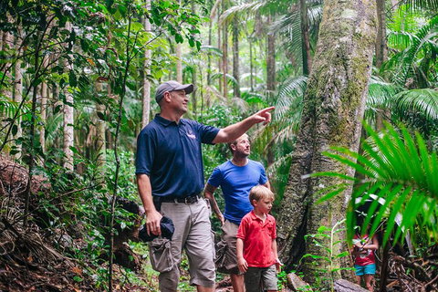Tamborine Mountain & Gold Coast Tour - C Tourism 1