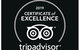 Private Transfer From Brisbane Airport To Noosa For 1 To 7 People - thumb 6