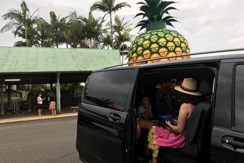 Private Transfer From Brisbane Airport To Noosa For 1 To 7 People - C Tourism 2