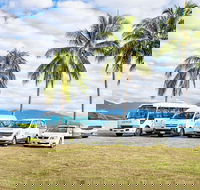 Private Transfers - Cairns Airport to Palm Cove - C Tourism