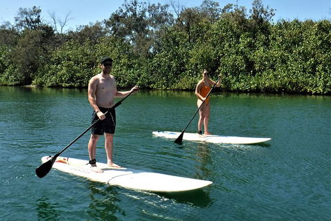 Paddle Board Hire In Surfers Paradise - C Tourism 2