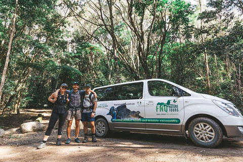 Cairns Rainforest Hiking Experience Incredible Mountains Remote Waterfall - C Tourism 5