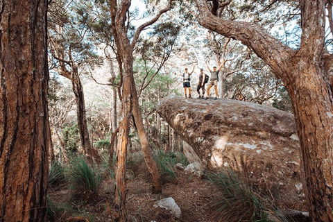 Cairns Rainforest Hiking Experience Incredible Mountains Remote Waterfall - C Tourism 3