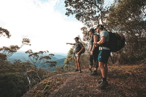 Cairns Rainforest Hiking Experience Incredible Mountains Remote Waterfall - C Tourism 7