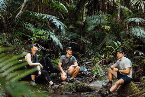 Cairns Rainforest Hiking Experience Incredible Mountains Remote Waterfall - C Tourism 4