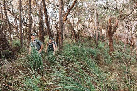 Cairns Rainforest Hiking Experience Incredible Mountains Remote Waterfall - C Tourism 8