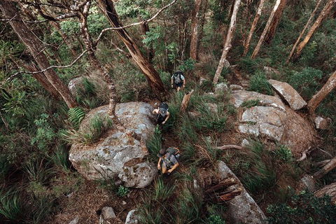 Cairns Rainforest Hiking Experience Incredible Mountains Remote Waterfall - C Tourism 1