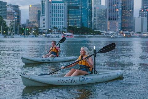 Brisbane City Twilight Kayak - C Tourism 0