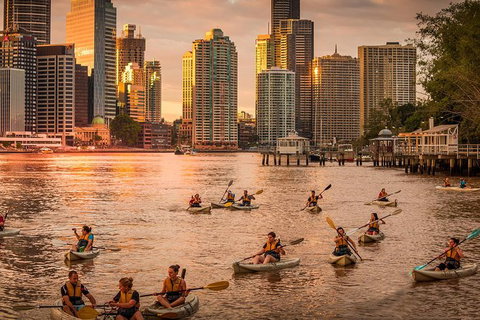 Brisbane City Twilight Kayak - C Tourism 5