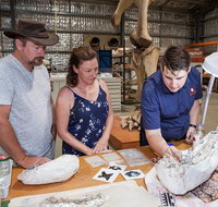 Australian Dinosaur Giants Tour - C Tourism