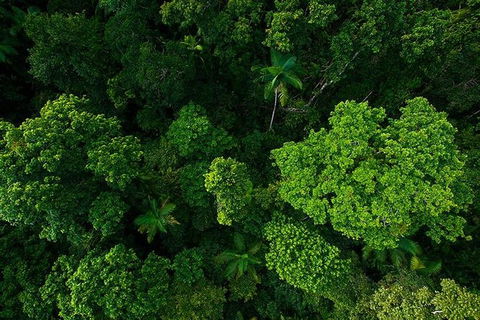 Cairns & Port Douglas All-Inclusive 7 Days Touring Package - C Tourism 3
