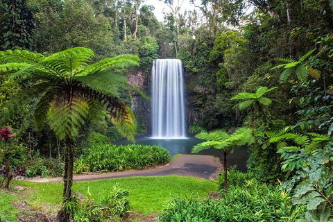 Cairns & Port Douglas All-Inclusive 7 Days Touring Package - C Tourism 5