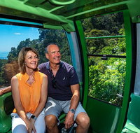 Sightseeing Kuranda Self-Driving Tour - C Tourism
