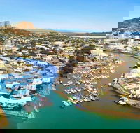 Explore Townsville 7 Hour Guided River Mountain and City Tour - C Tourism