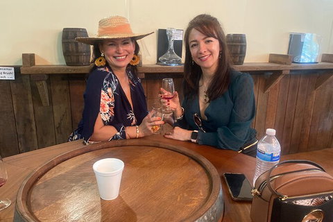 Mt Tamborine Wine Tour - C Tourism 0