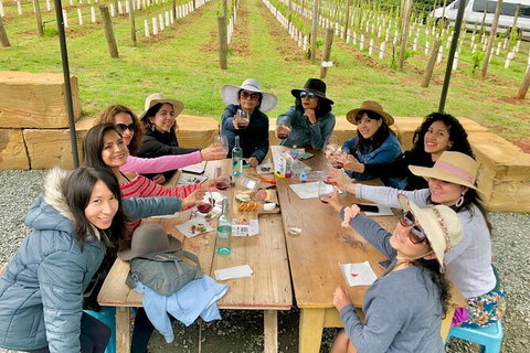 Mt Tamborine Wine Tour - C Tourism 14