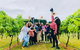 Mt Tamborine Wine Tour - thumb 18